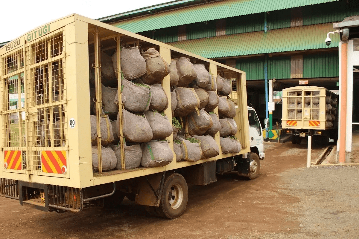 Ambulance background